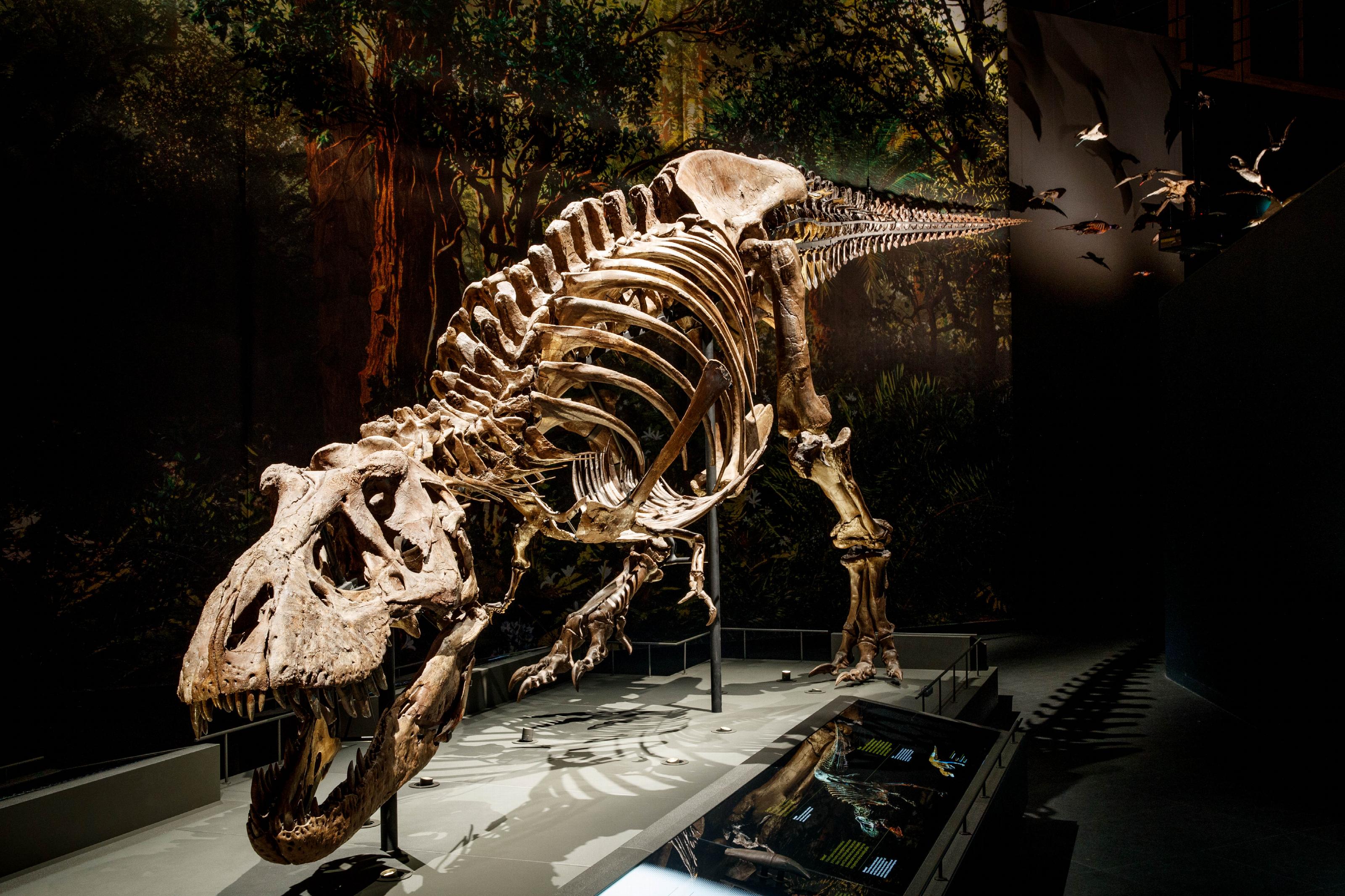 Trix in Naturalis. 
