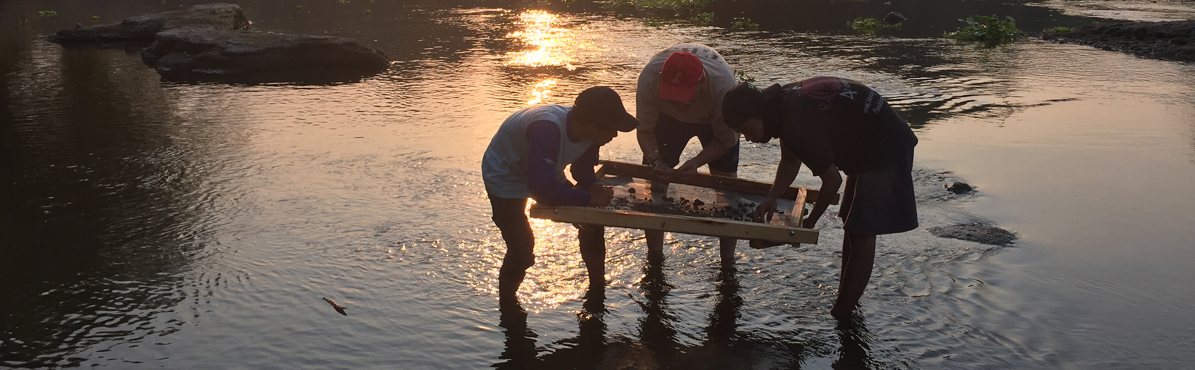 Research Trinil
