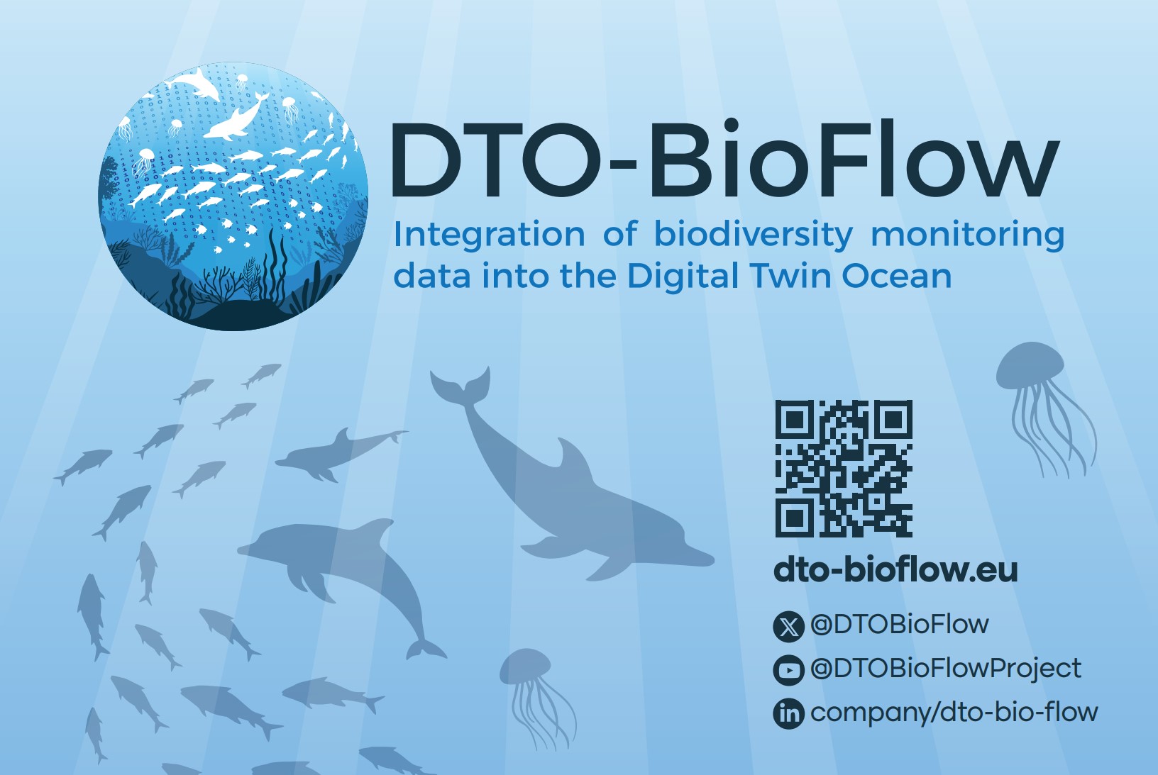 DTO