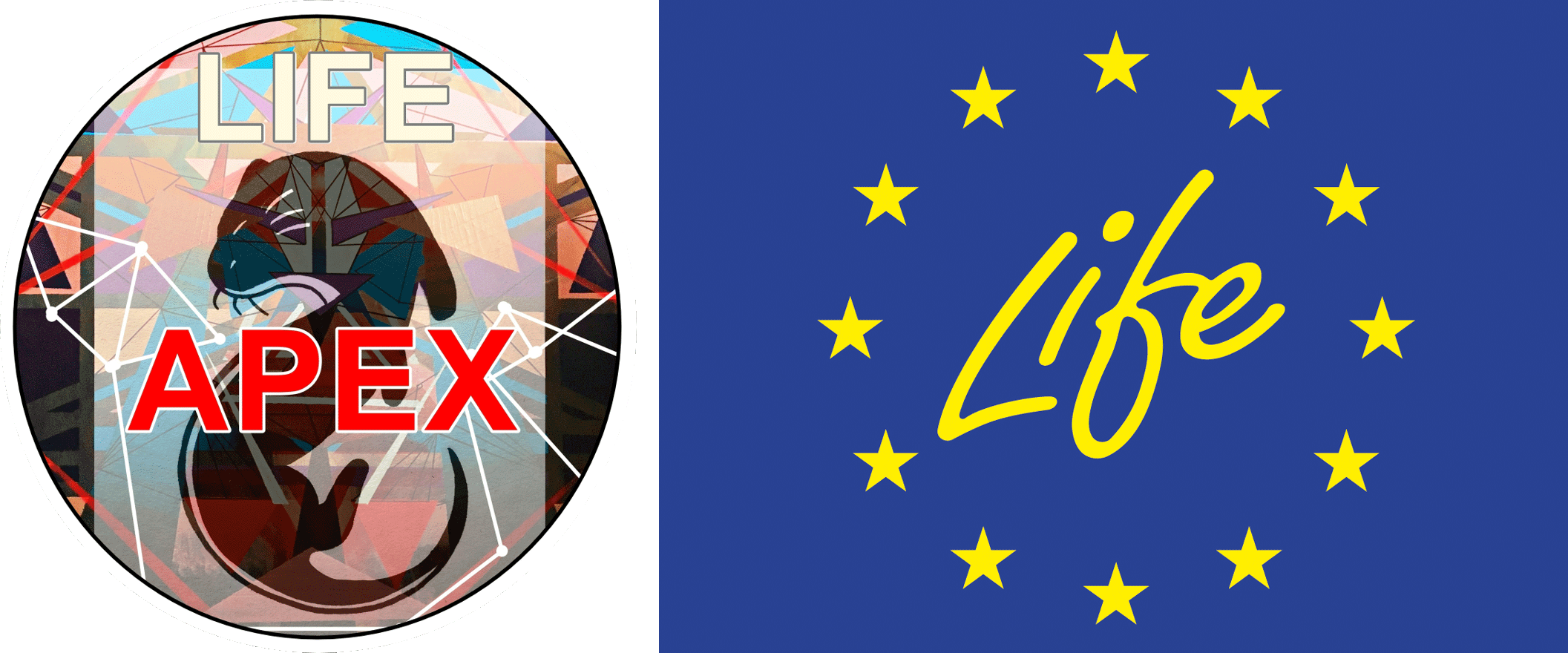 LIFE APEX logo