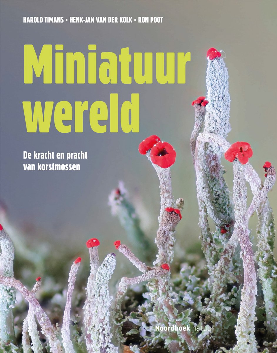 Miniatuurwereld bookcover