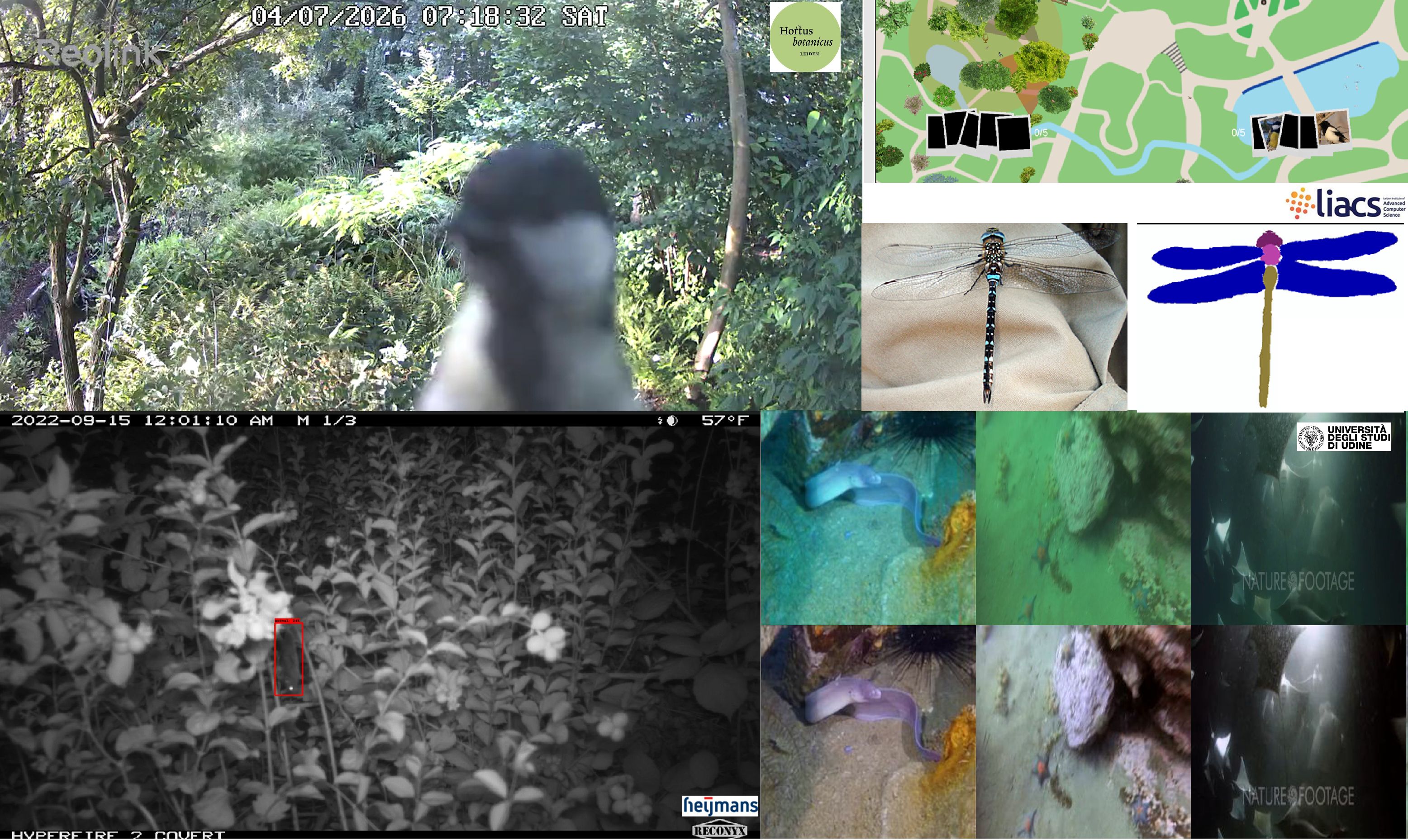 Interdisciplinary collaborations