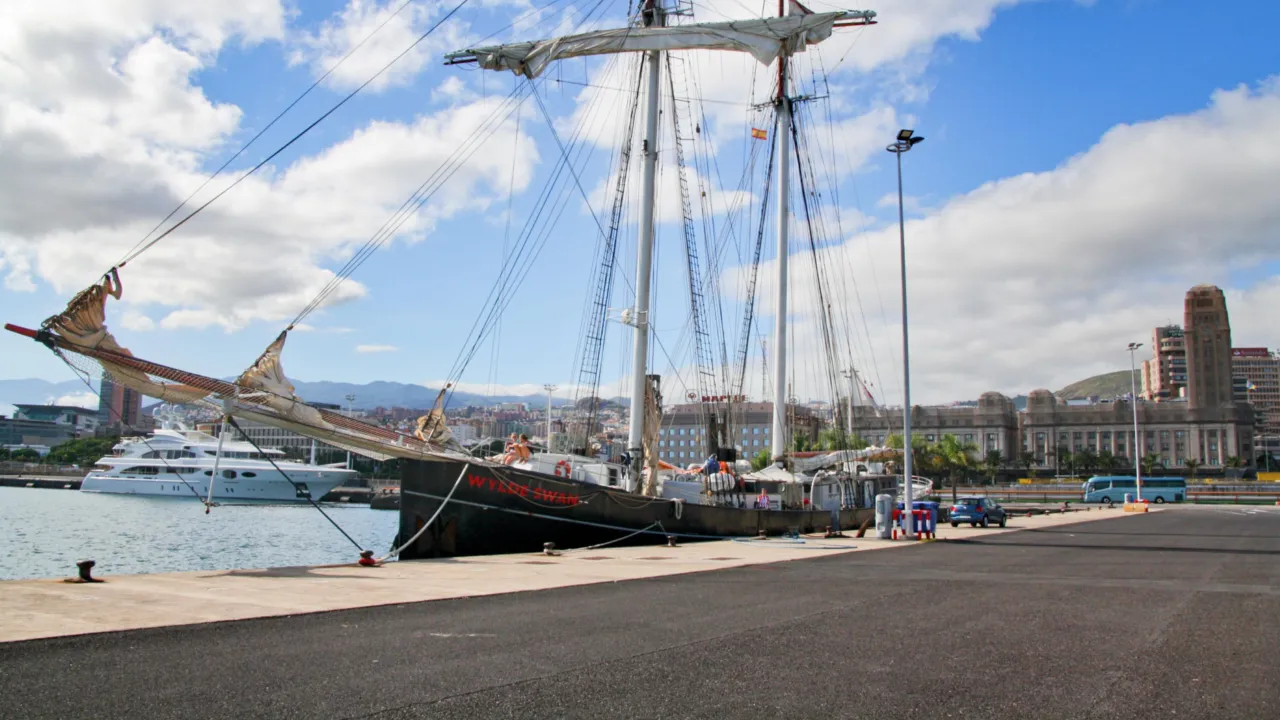 De Wilde Swan op Tenerife