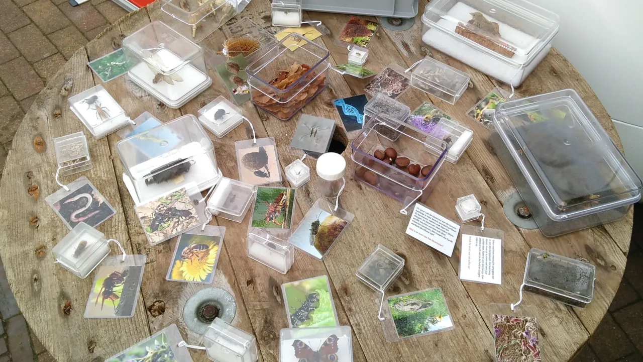 Het mini-museum van Naturalis onderweg