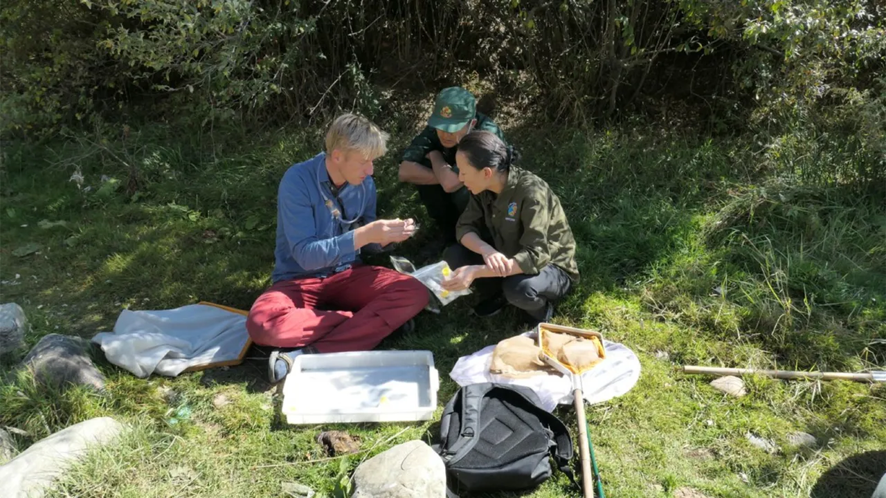 Bhutan research