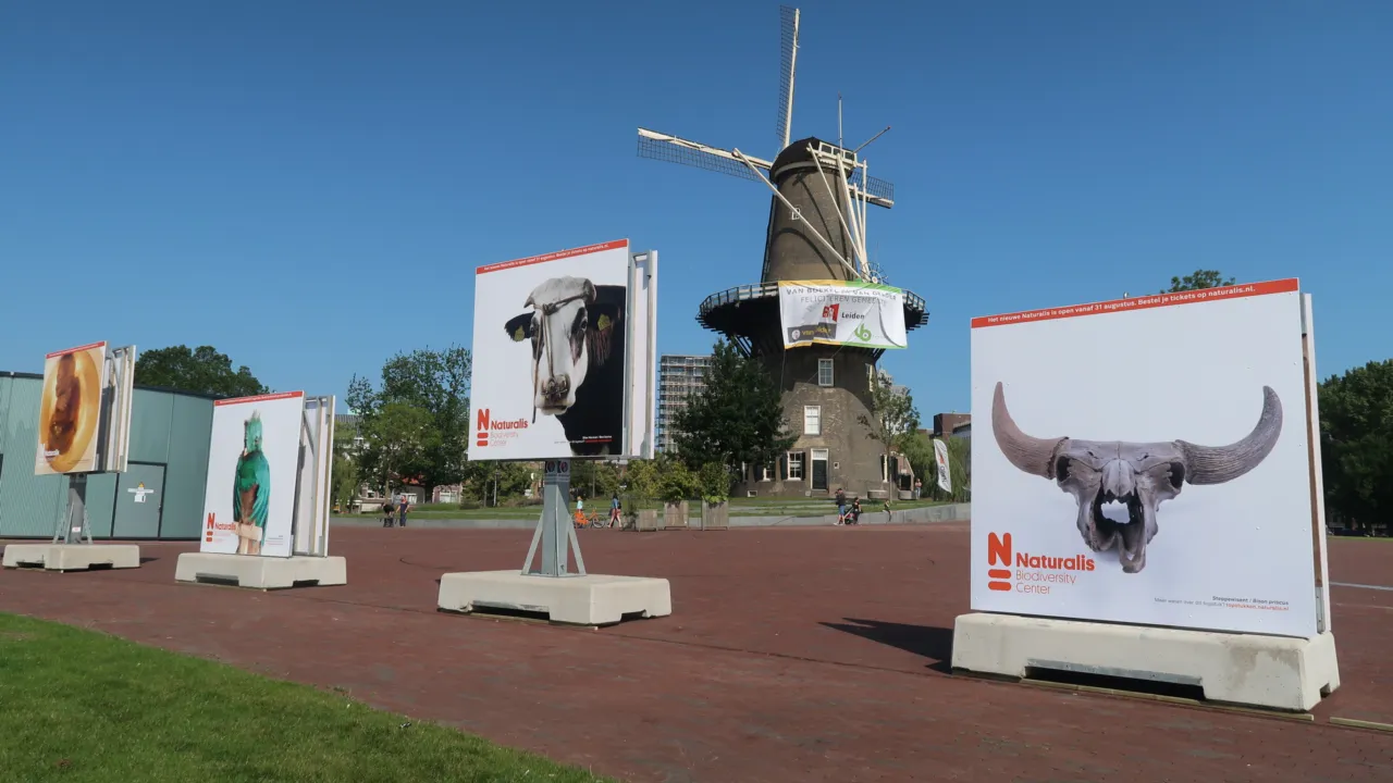 Naturalis openluchtmuseum lammermarkt