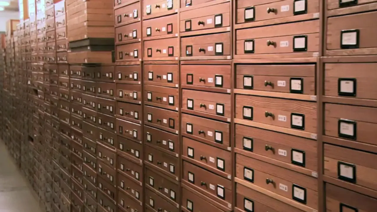 Ladekasten in het collectiedepot van Naturalis