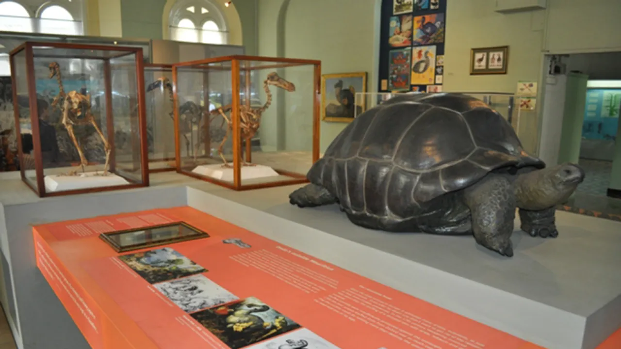 De dodo gallery