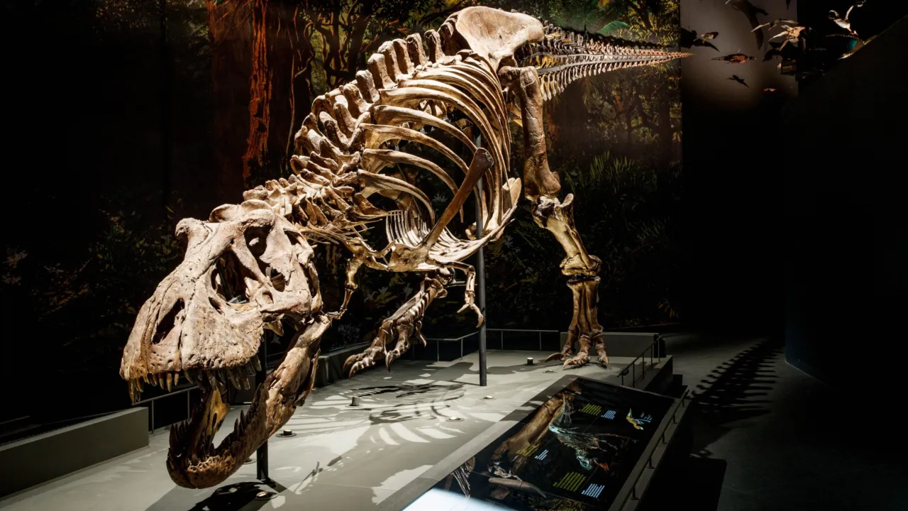 Dinotijd Trix