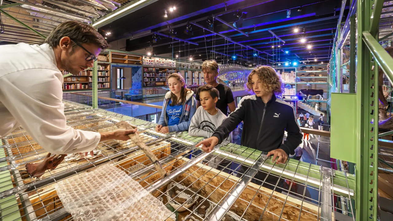 Dinolab in LiveScience