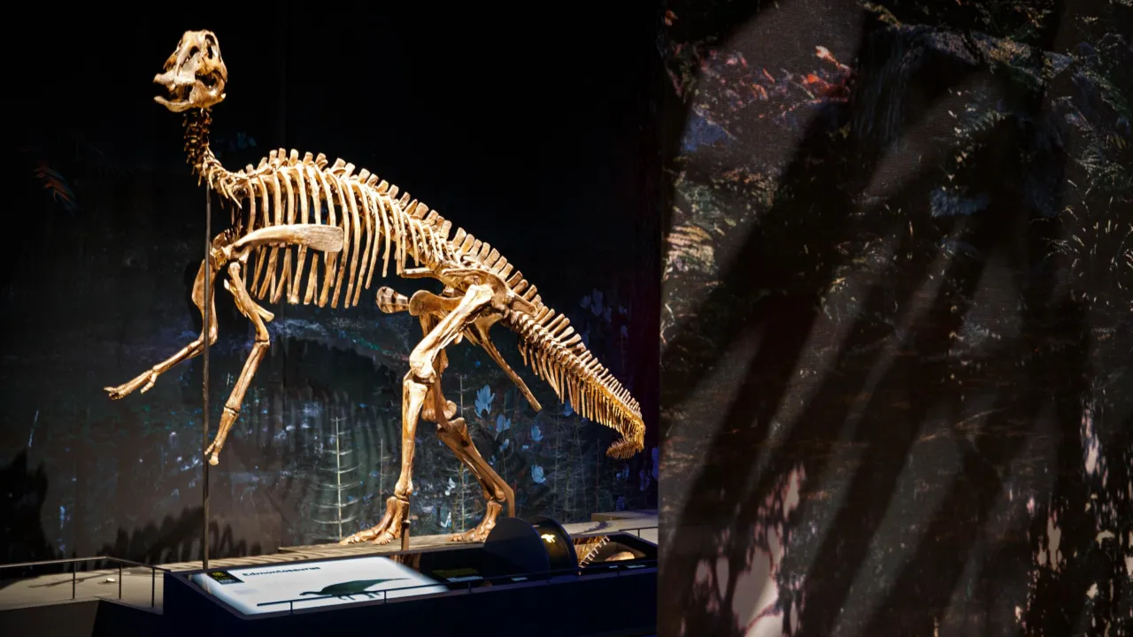 Gallery Dinosaur age