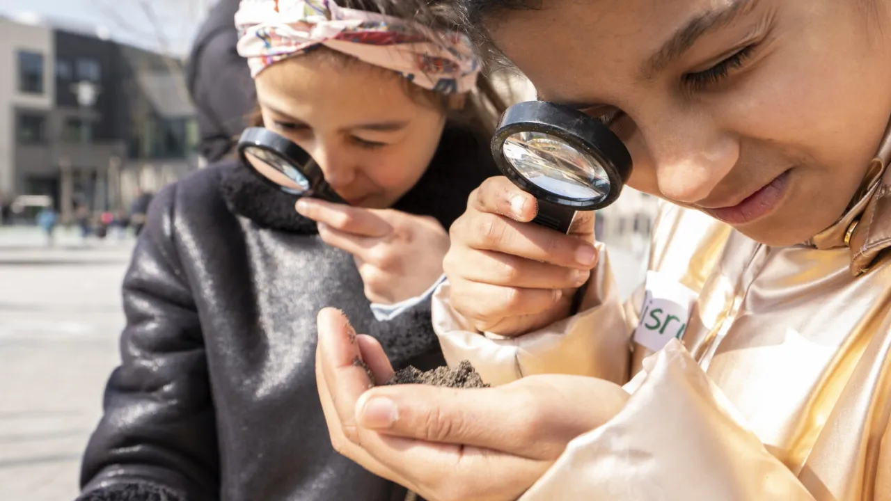 Naturalis bijen evenement met obs De Singel