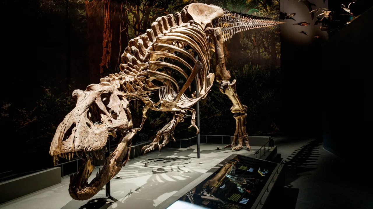 T. rex Trix