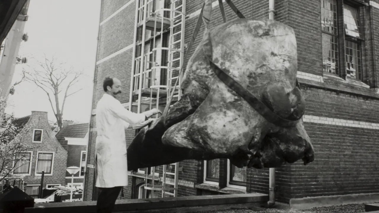 scientist with crane