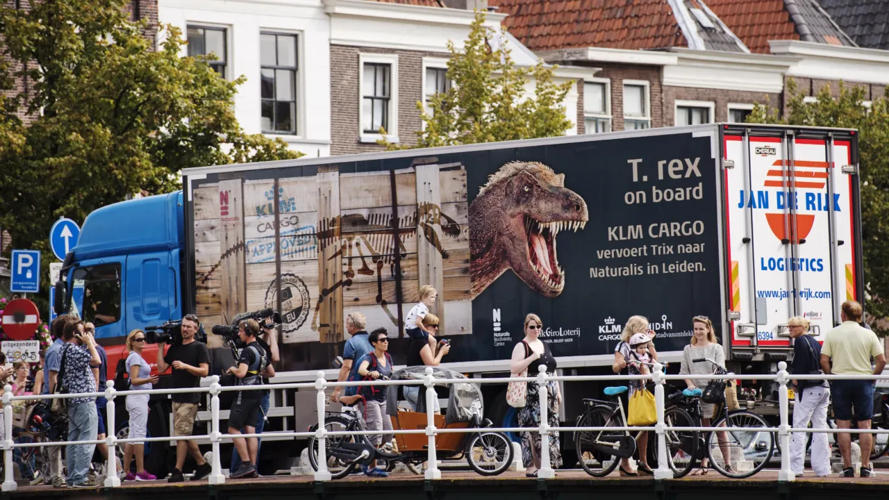 T. rex in Town