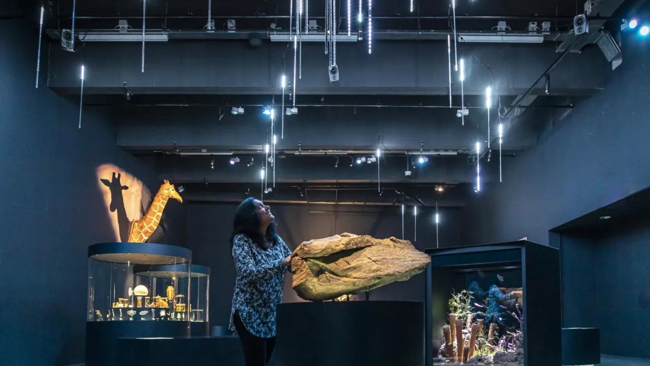Bezoeker bij de oersteen in zaal Evolutie