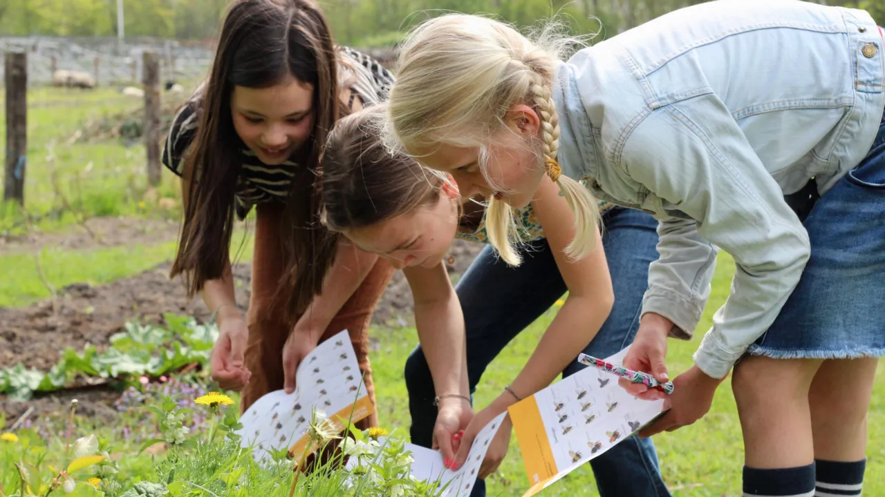 Kinderen die meedoen aan de Nationale Bijentelling
