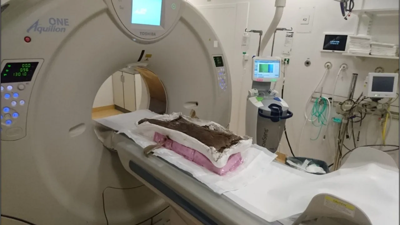 Een dinobot gaat de scanner in