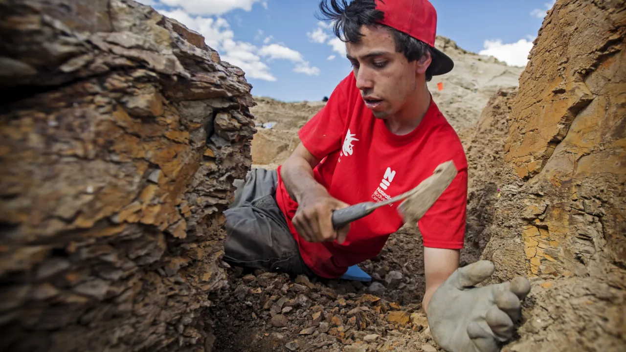 Jimmy de Rooij on the Triceratops expedition