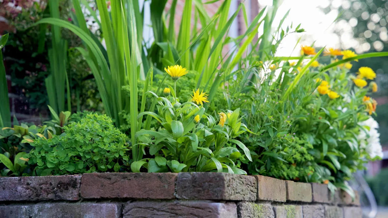 geveltuin 
