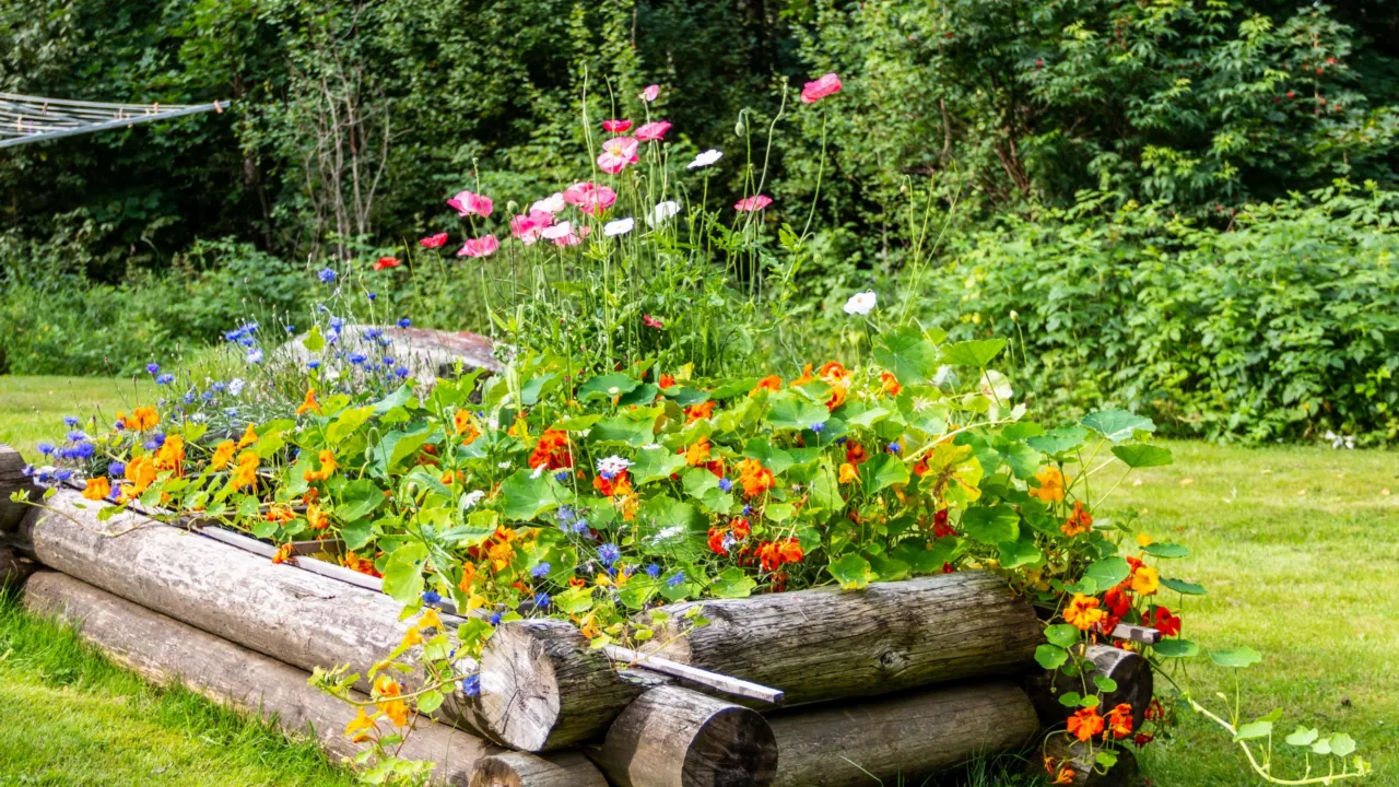 planten bak 