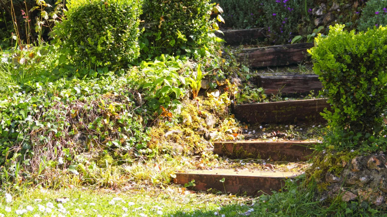 trap in tuin 