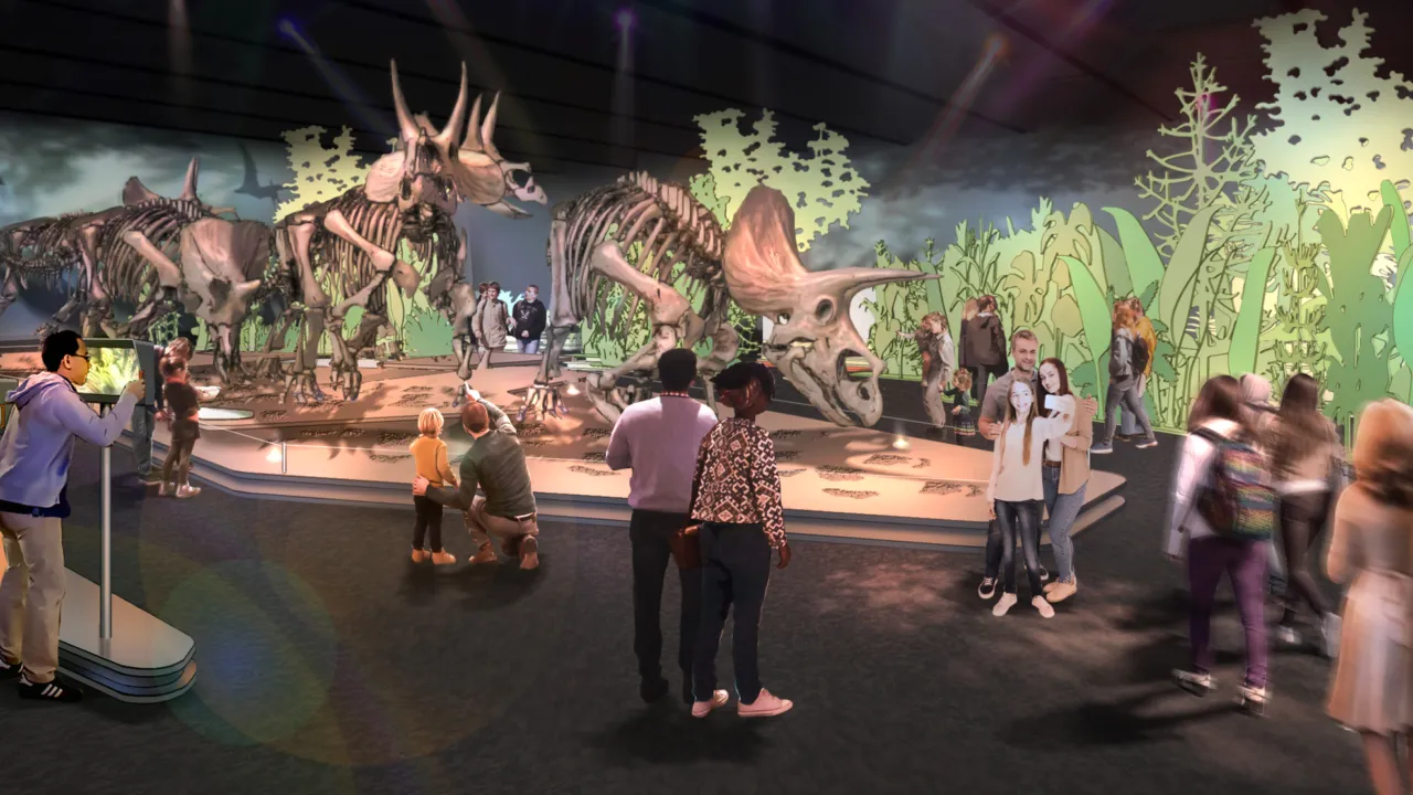 artist impression tentoonstelling