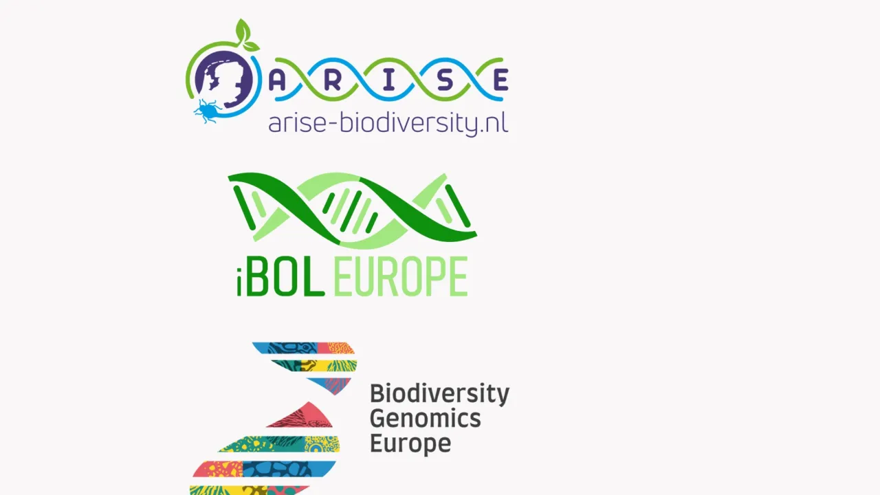 Logos