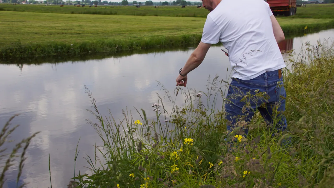 veldwerk langs de oever