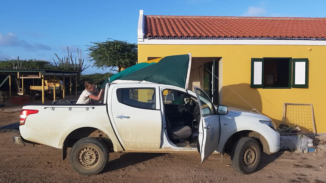 Aglaia op een auto