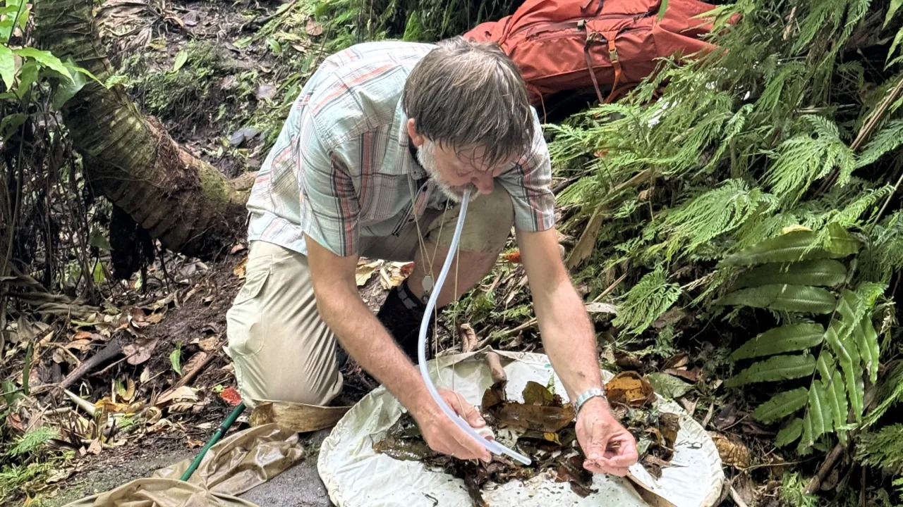 Jan vangt insecten