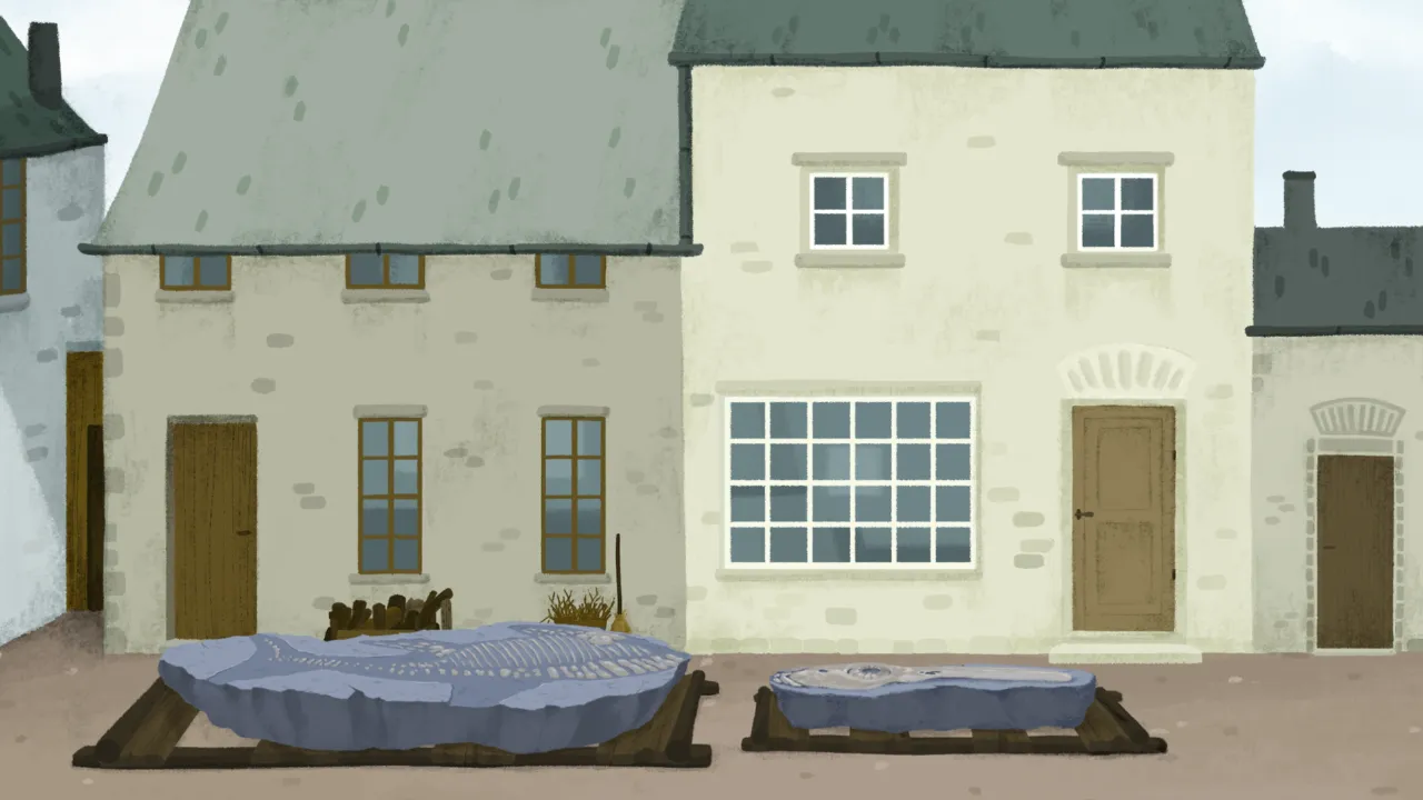 Huis met gevonden fossiel