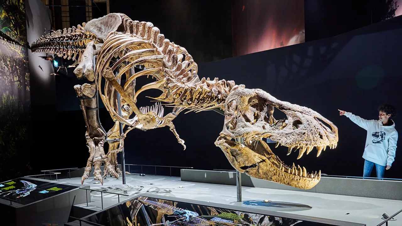 T. rex Trix