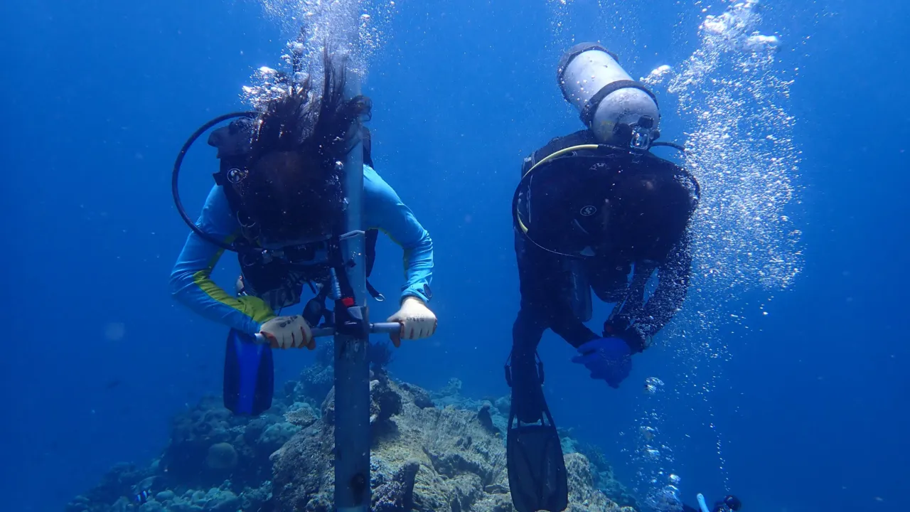 Mike Hynes snorkeling
