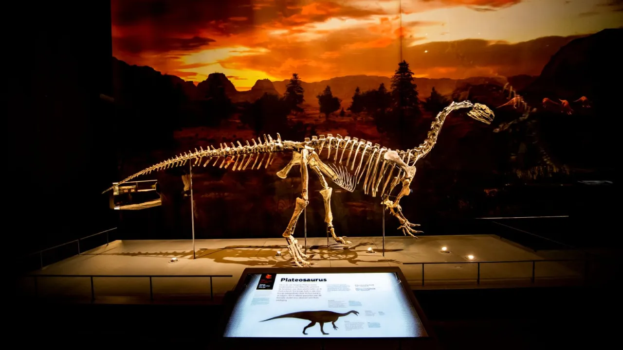 Plateosaurus
