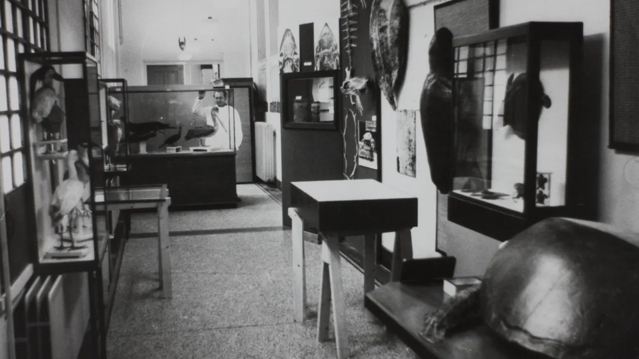 Historische foto RMNH