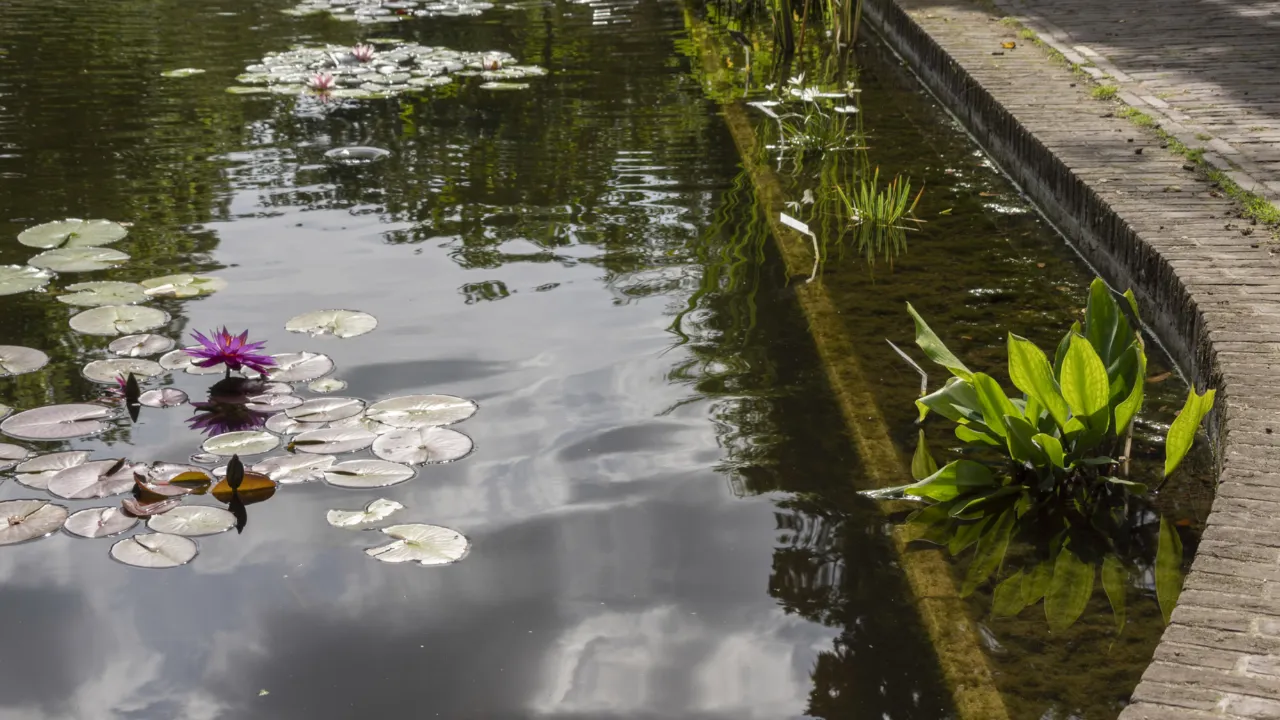 groene gracht