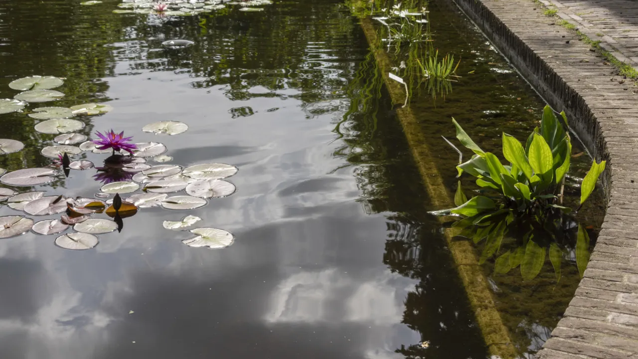 groene gracht