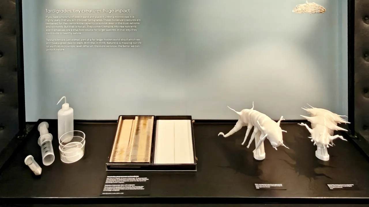 Display case in LiveScience