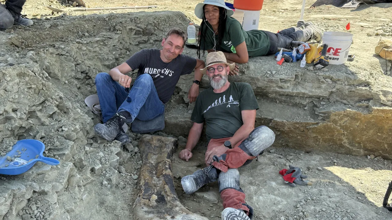 Fieldtrip excavation