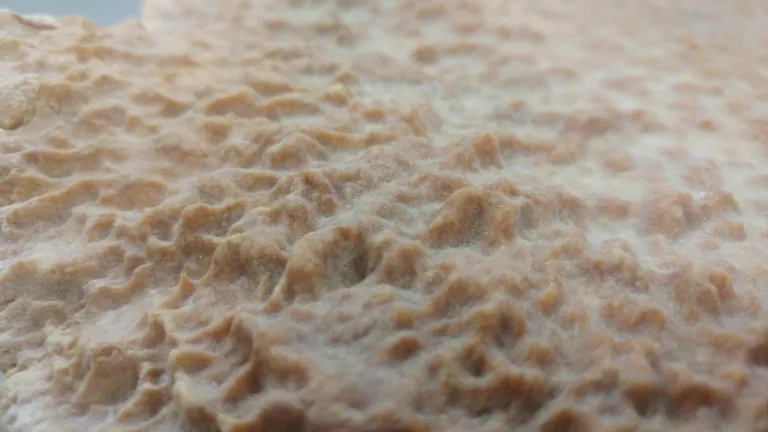 Close up