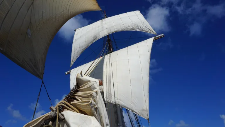 De zeillen van de Wylde Swan