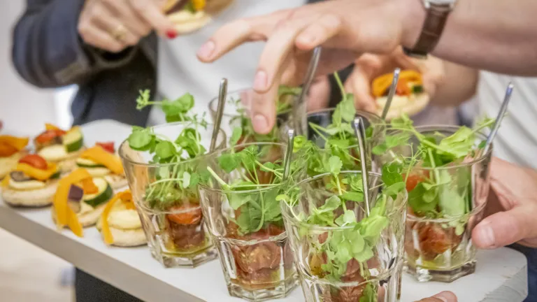 Catering Naturalis