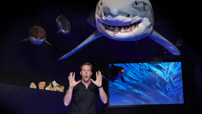 Freek Vonk with a great white shark