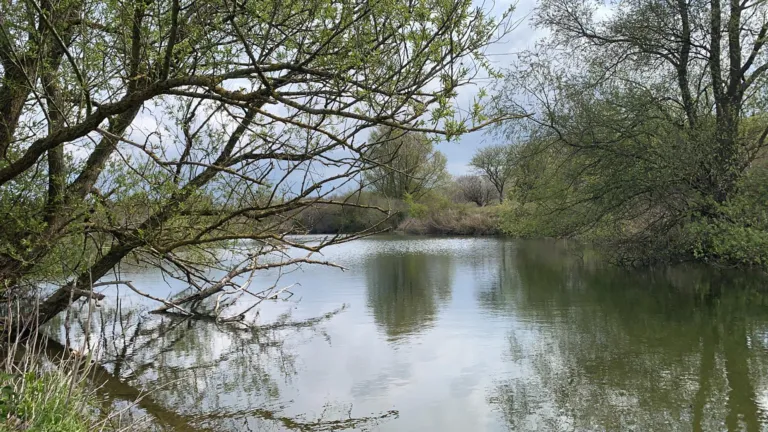 Nature reserve Staatsbosbeheer
