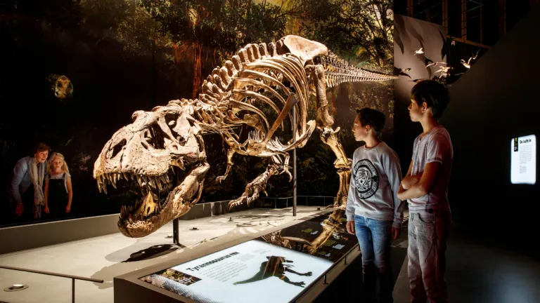 T. rex Trix
