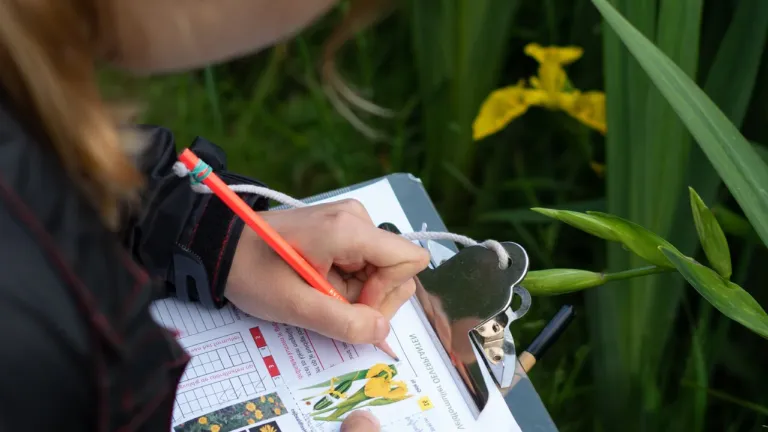 Deelnemer oefenplantenproject