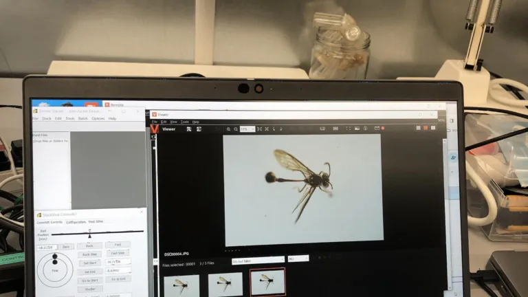 Digitalisering van een exemplaar van Naturalis
