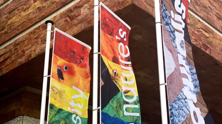 Pride regenboogvlaggen 2021 