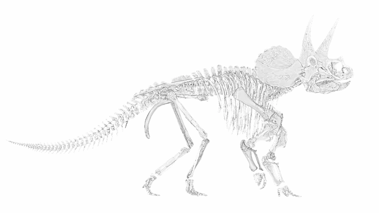 Zijaanzicht van een Triceratops uit Wyoming USA (Placeholder)